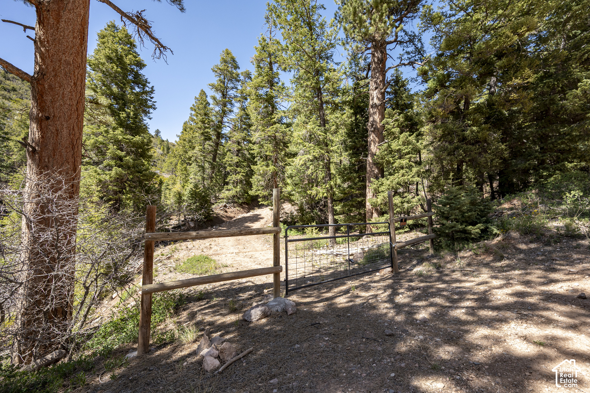 main property photo 31