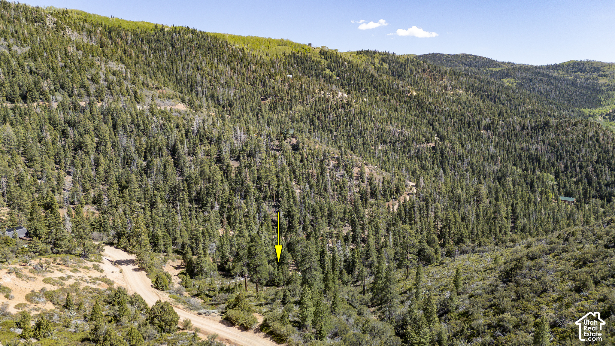 main property photo 42