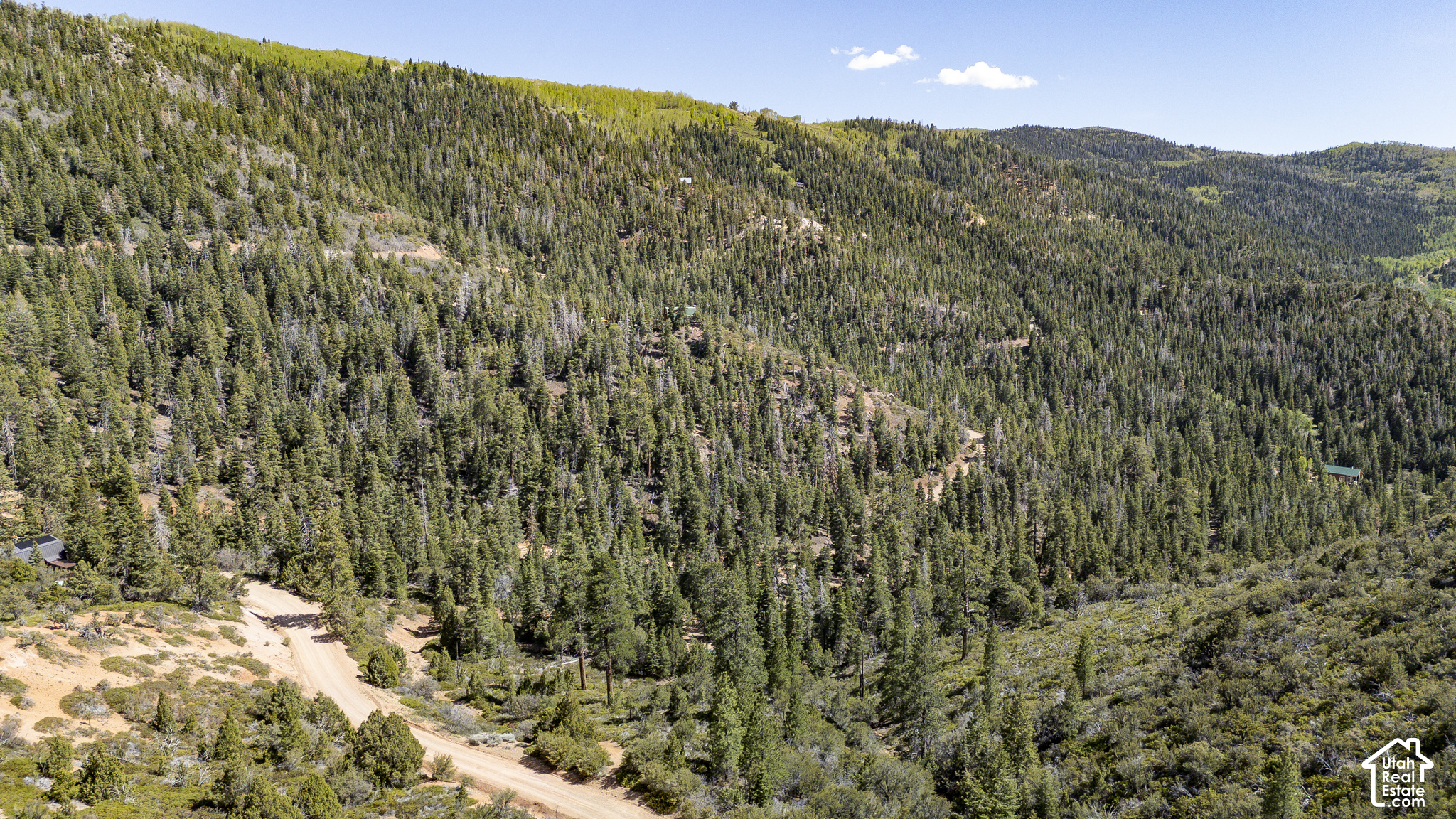 main property photo 43