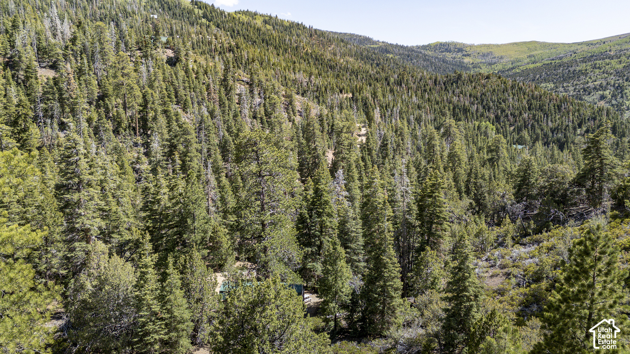 main property photo 52