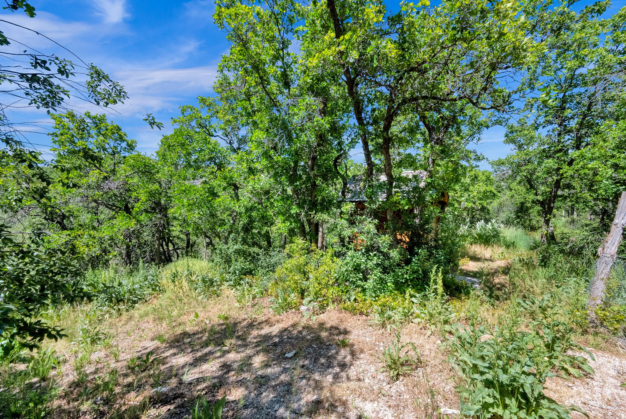 main property photo 100