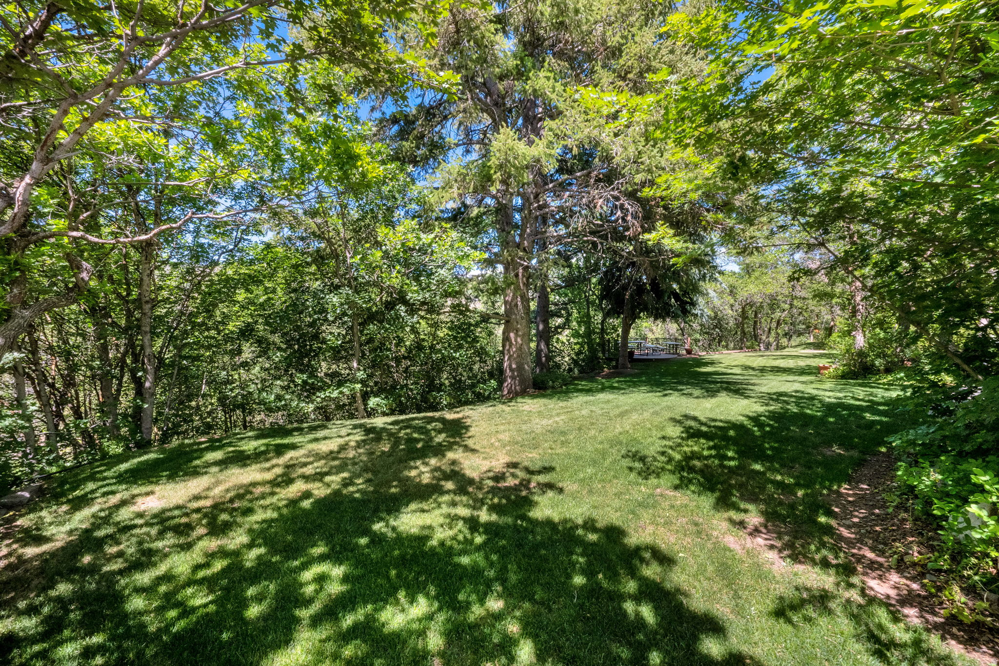 main property photo 80