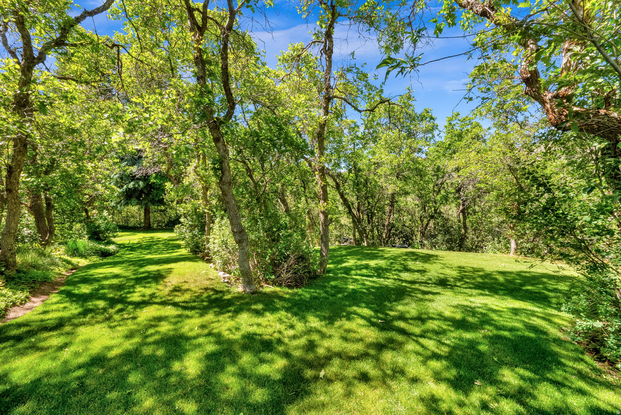 main property photo 88