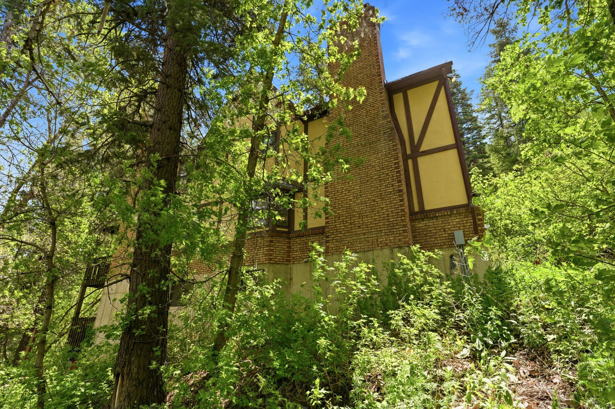 main property photo 51