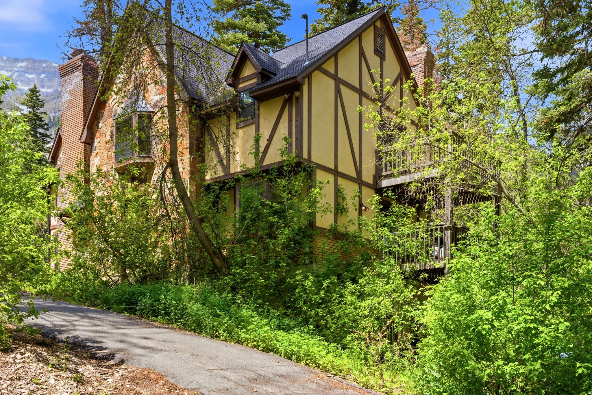 main property photo 54