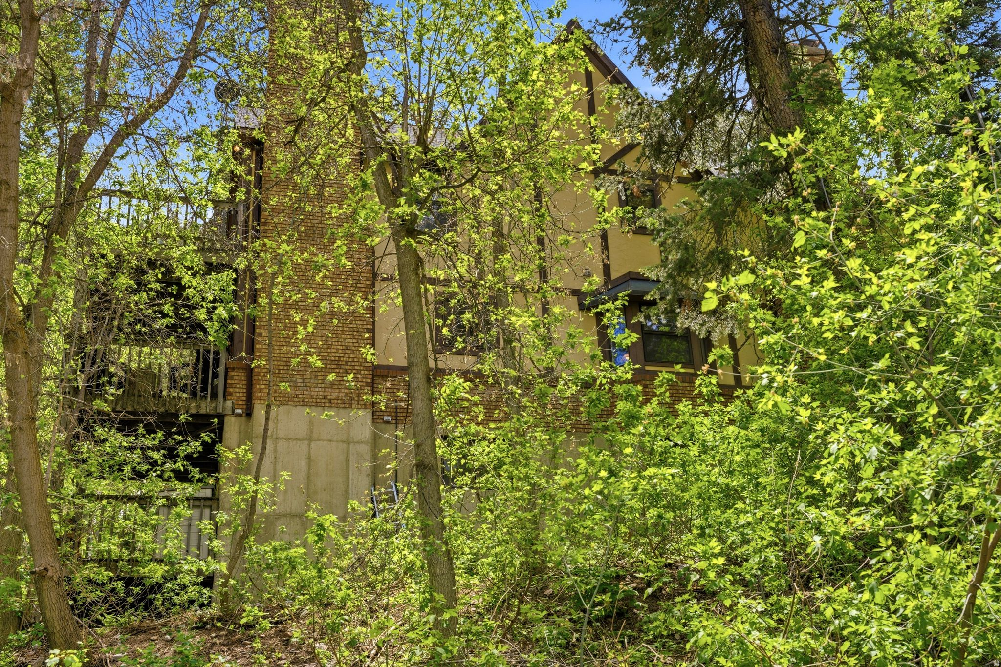 main property photo 56