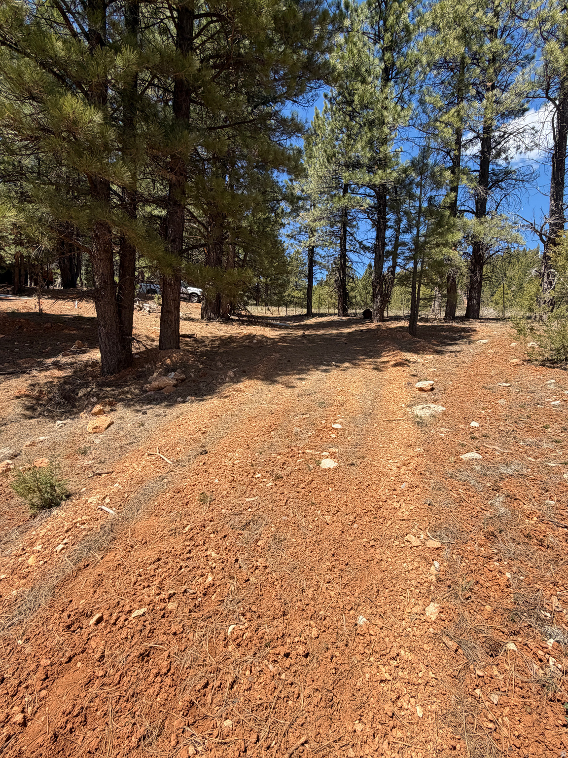 main property photo 12