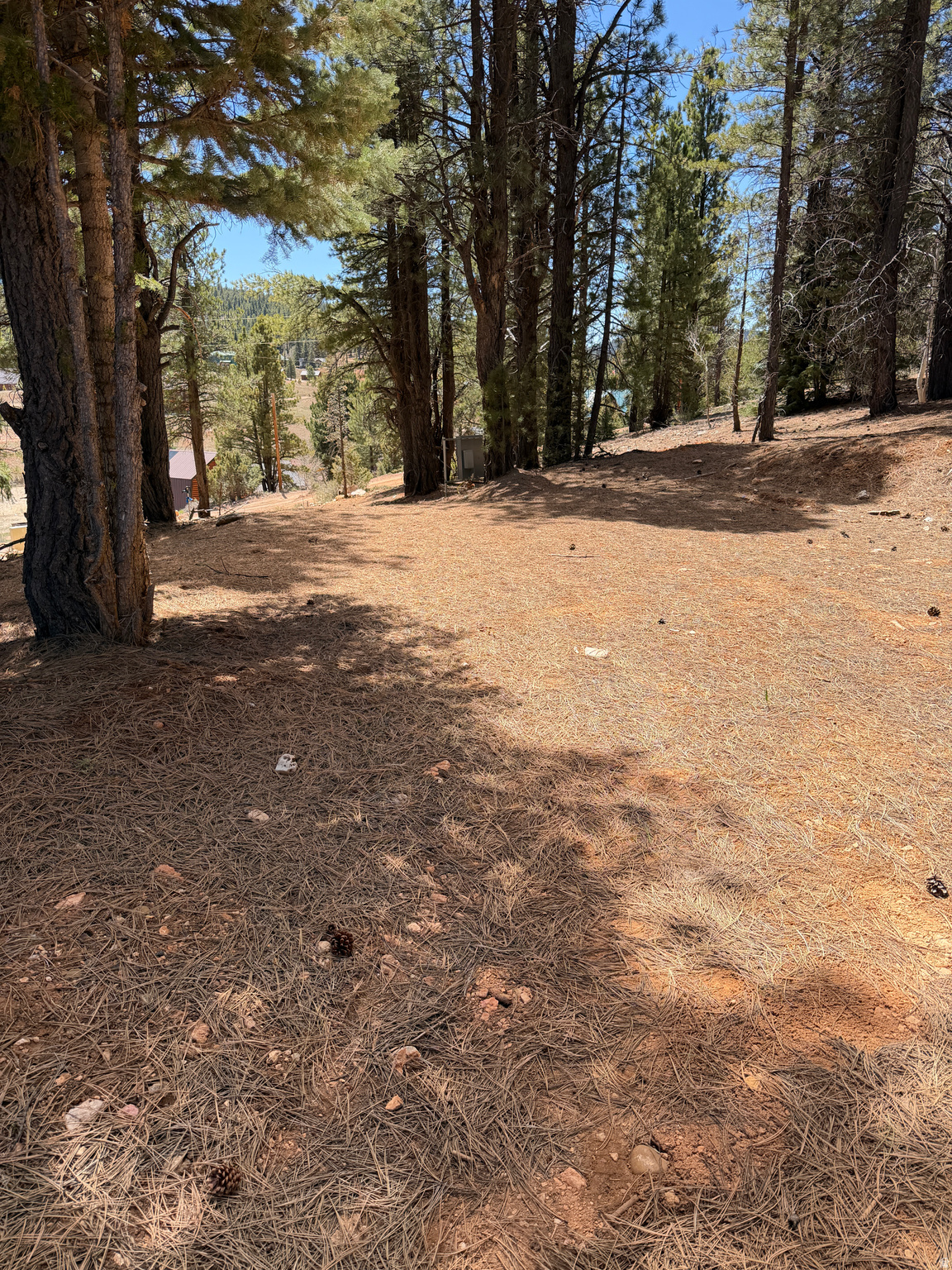main property photo 13
