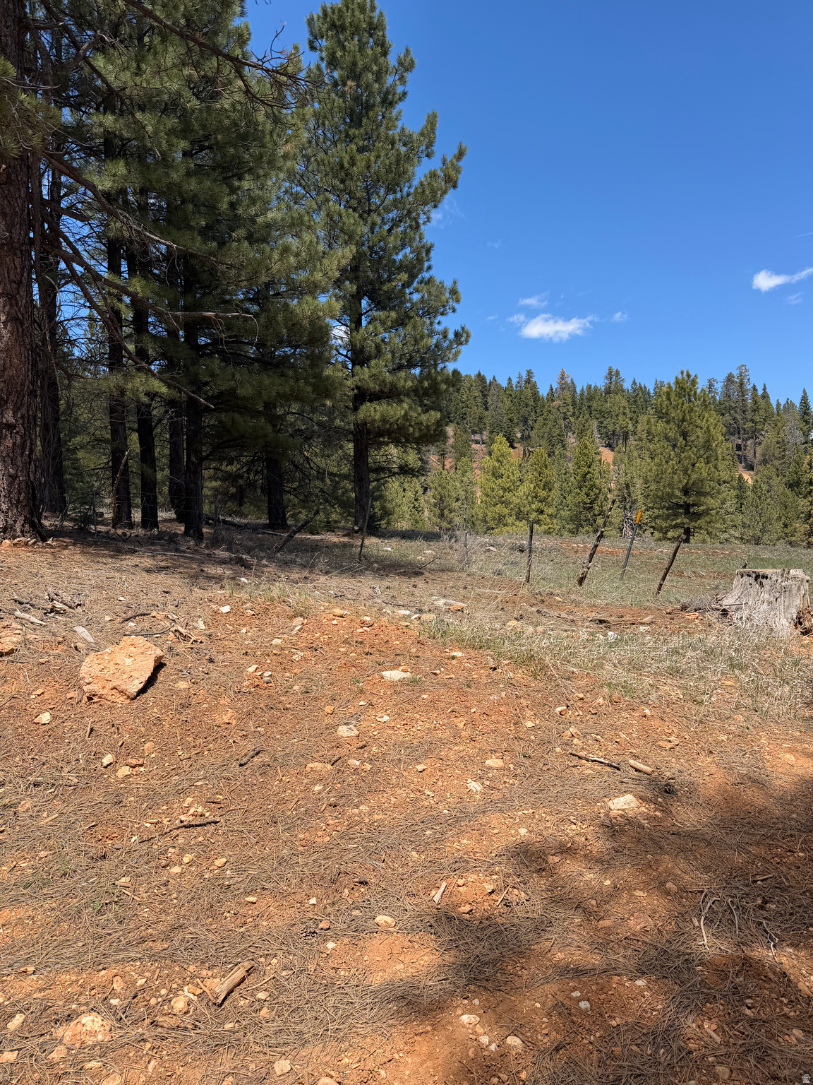 main property photo 15
