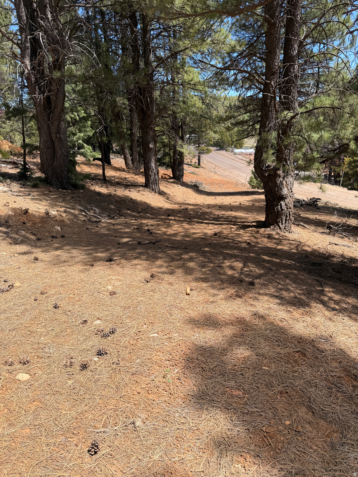 main property photo 9