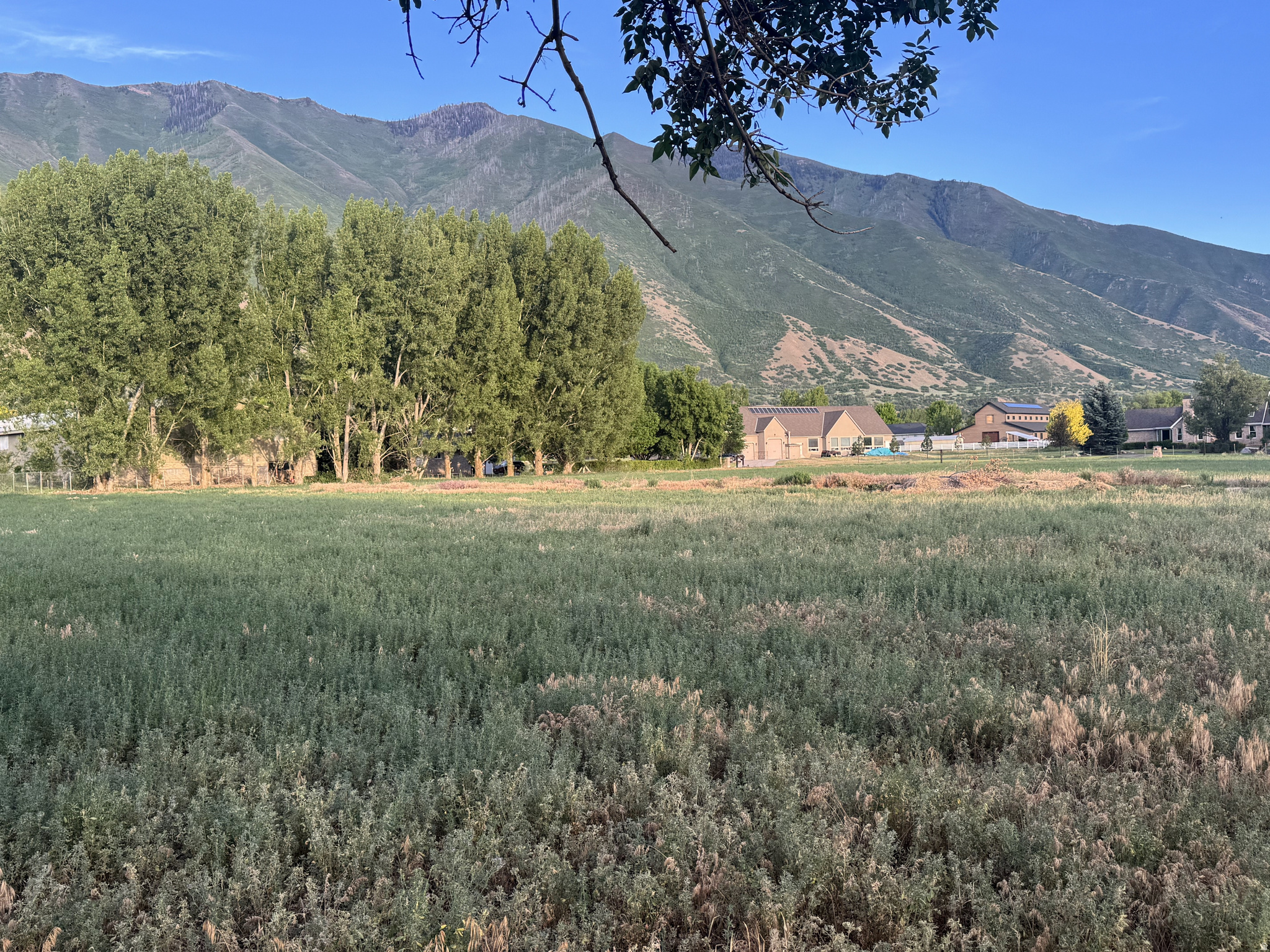 main property photo 18