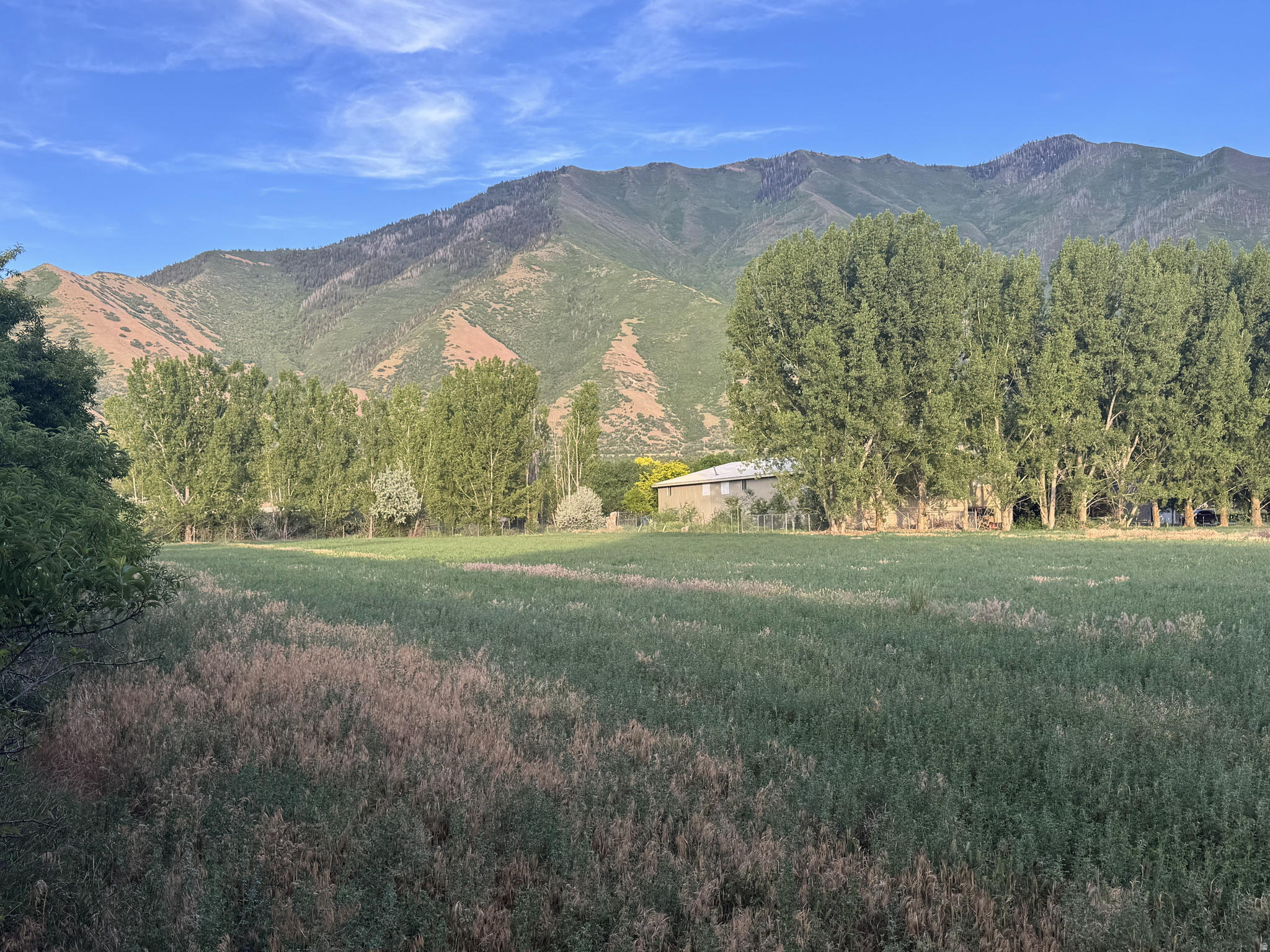 main property photo 8