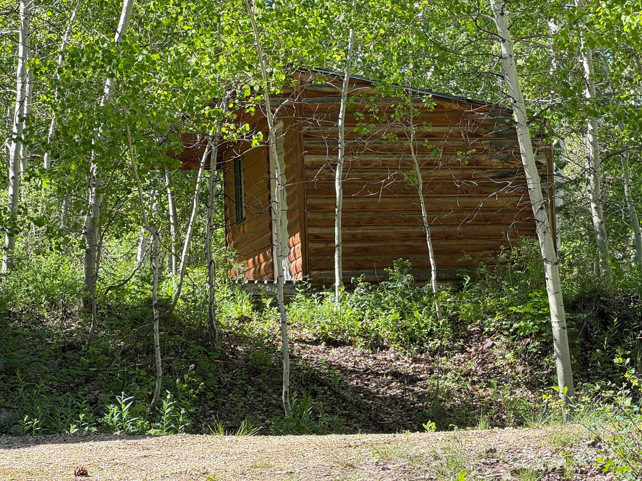 main property photo 48