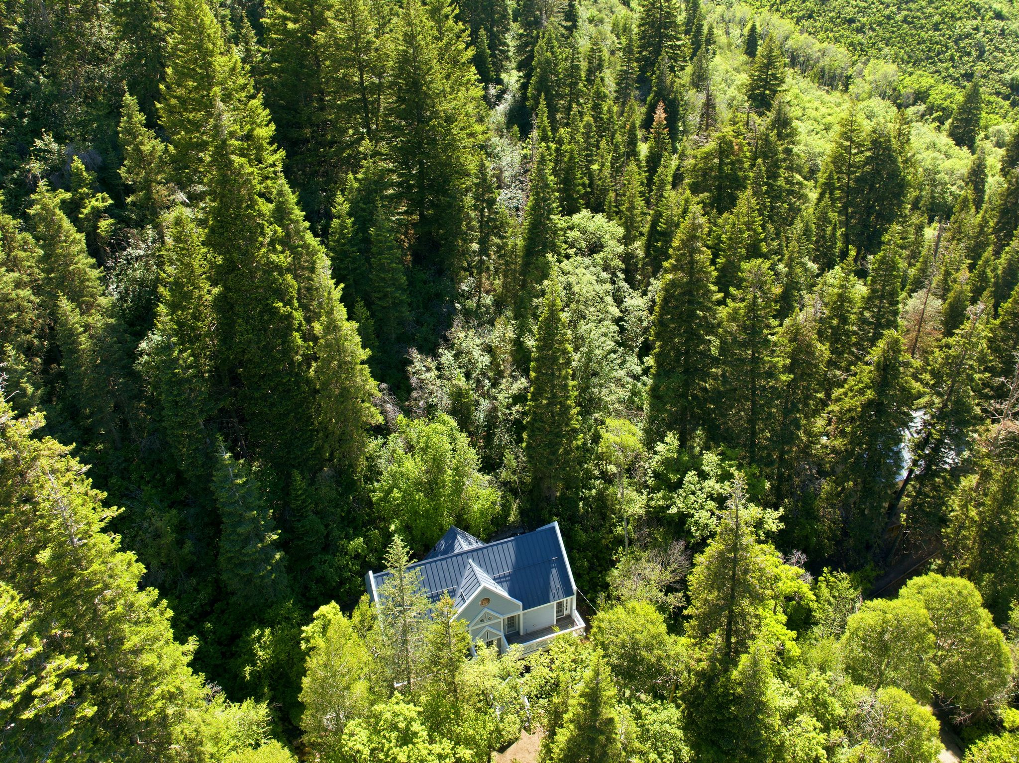 main property photo 65