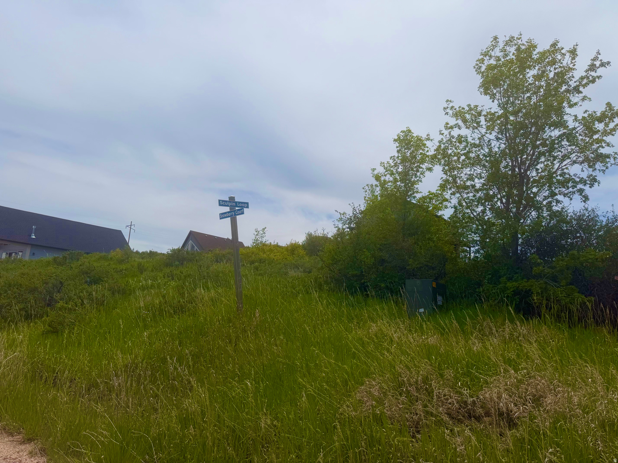 main property photo 14