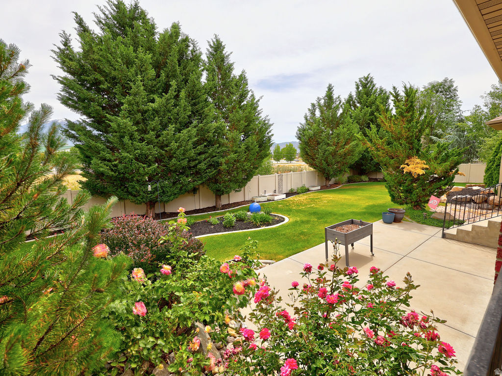 main property photo 82