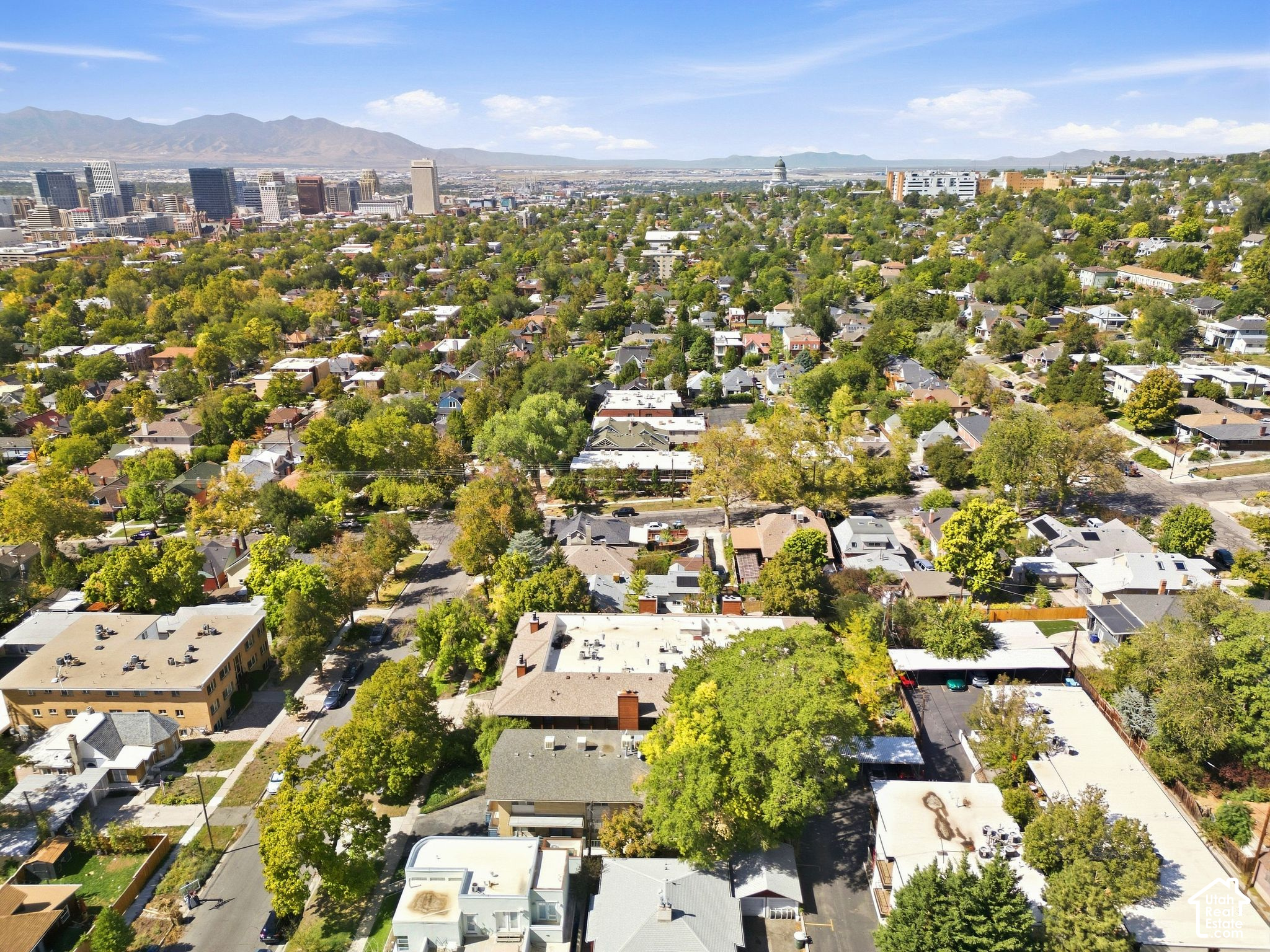 main property photo 58