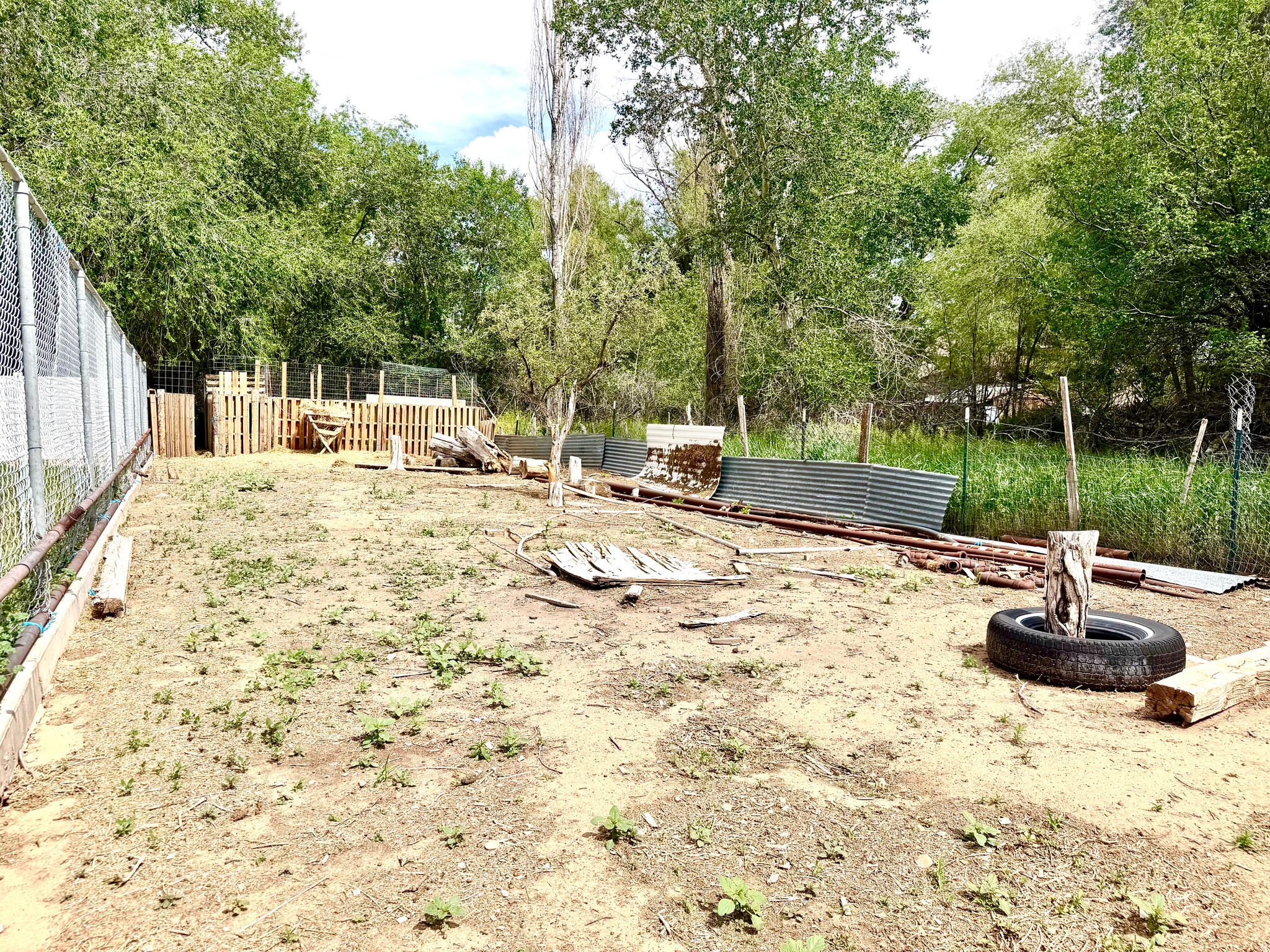 main property photo 27