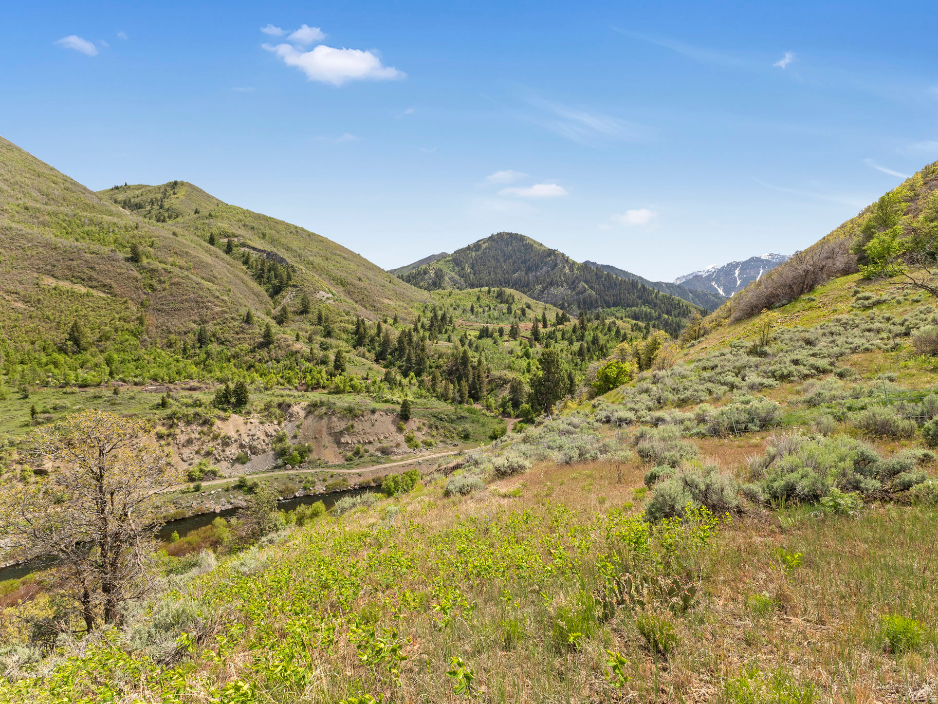 main property photo 8