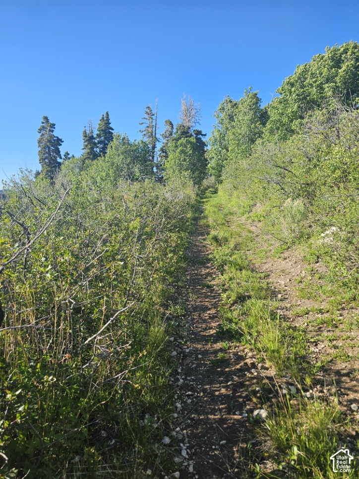 main property photo 10
