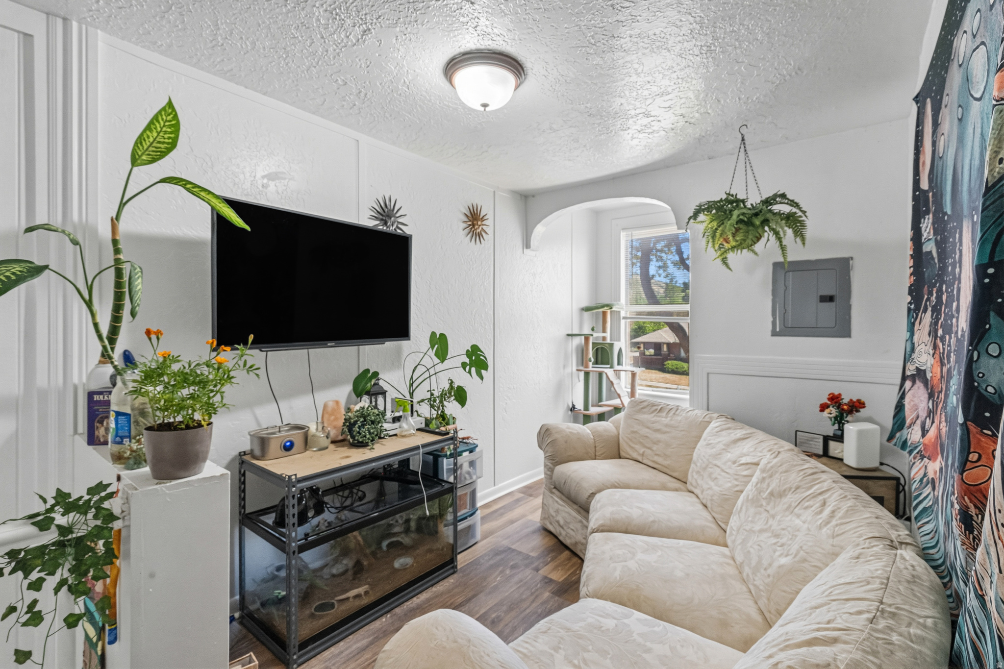 main property photo 42