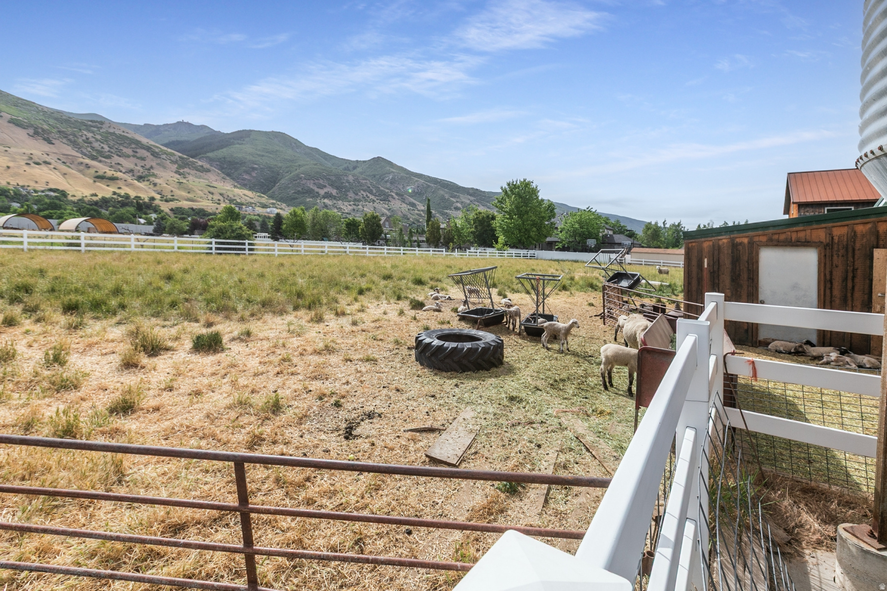 main property photo 41