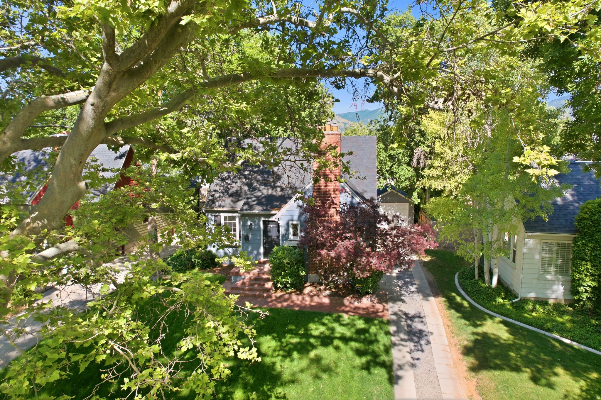 main property photo 38