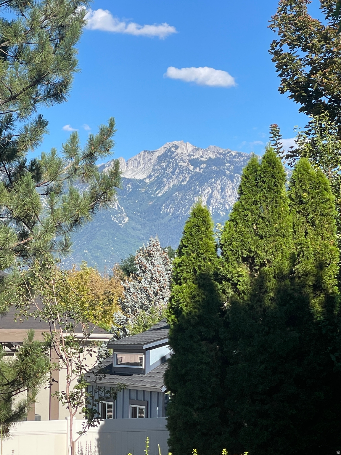 main property photo 67