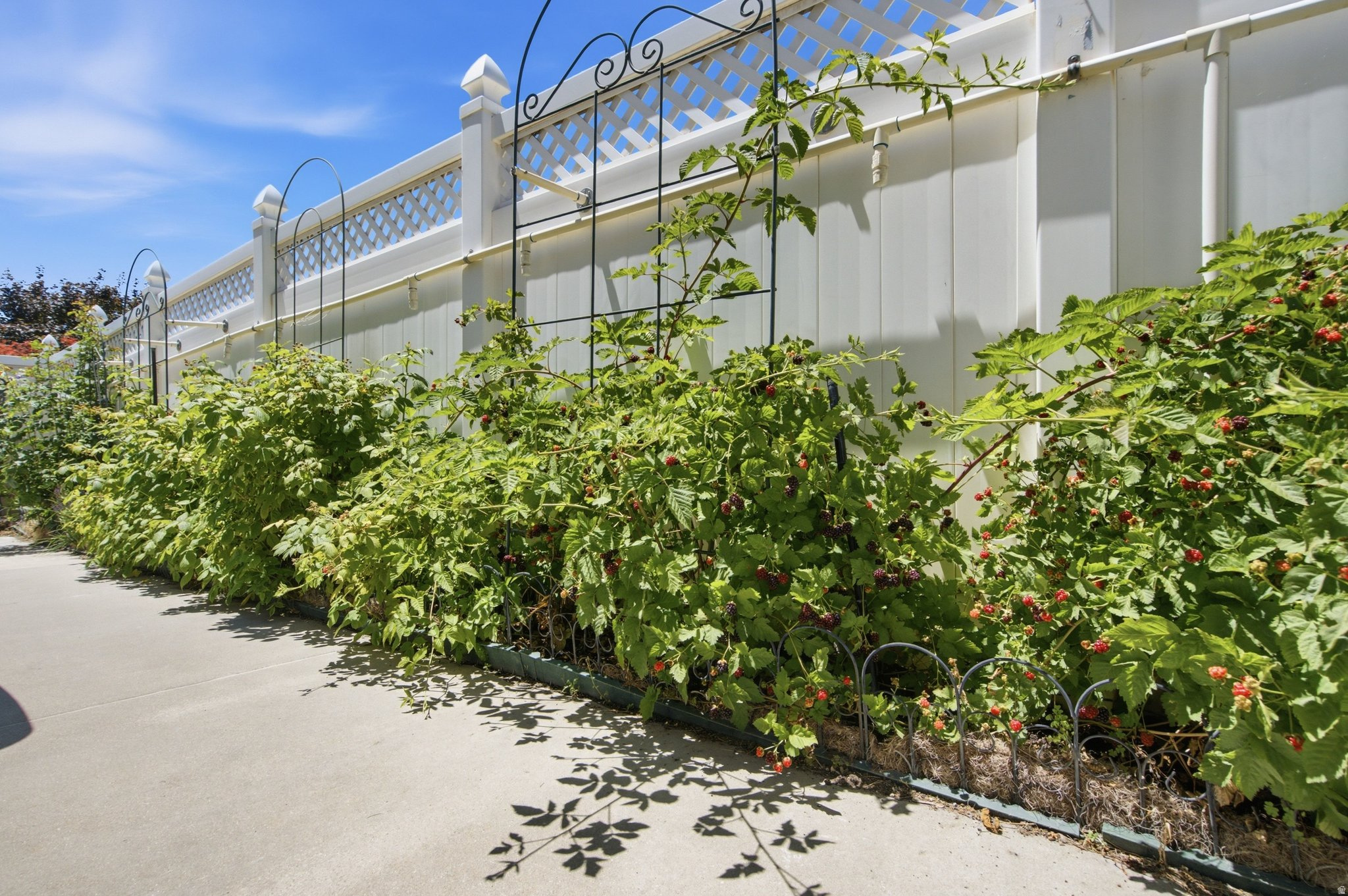 main property photo 64
