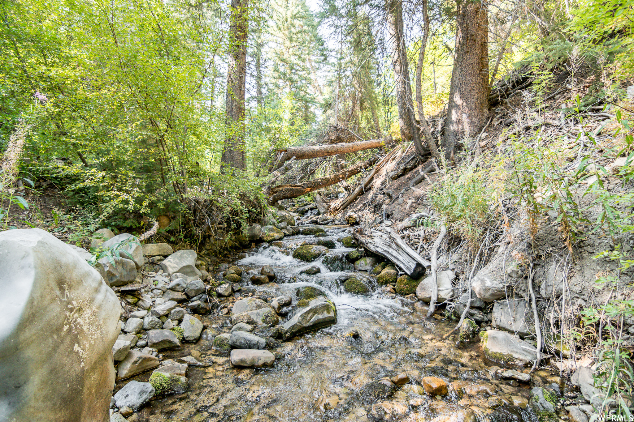 main property photo 51