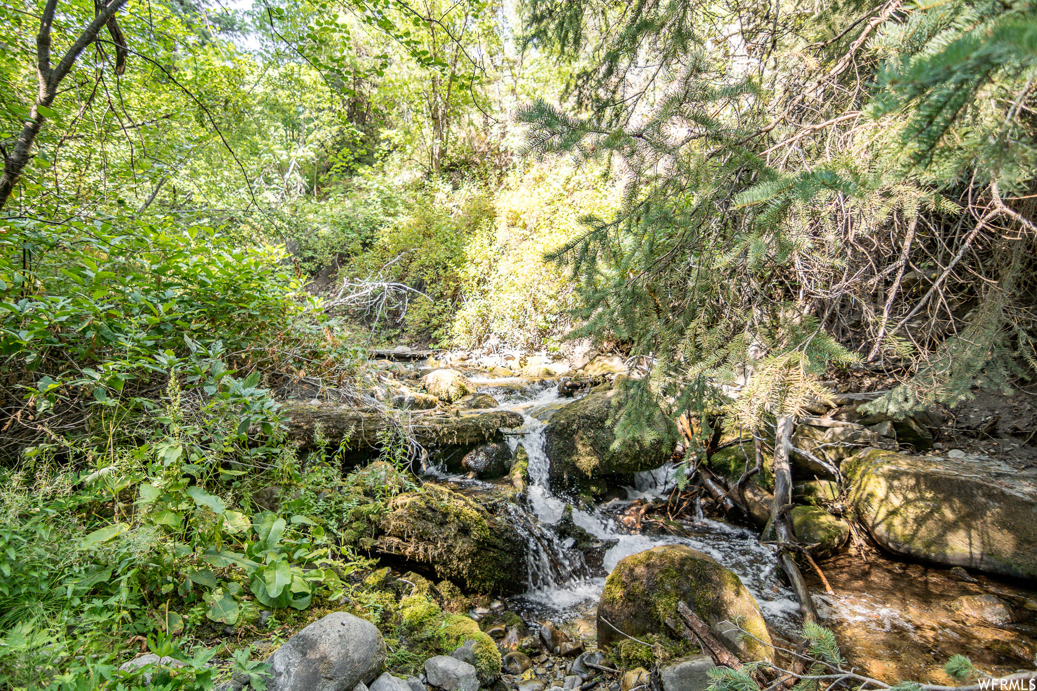 main property photo 52