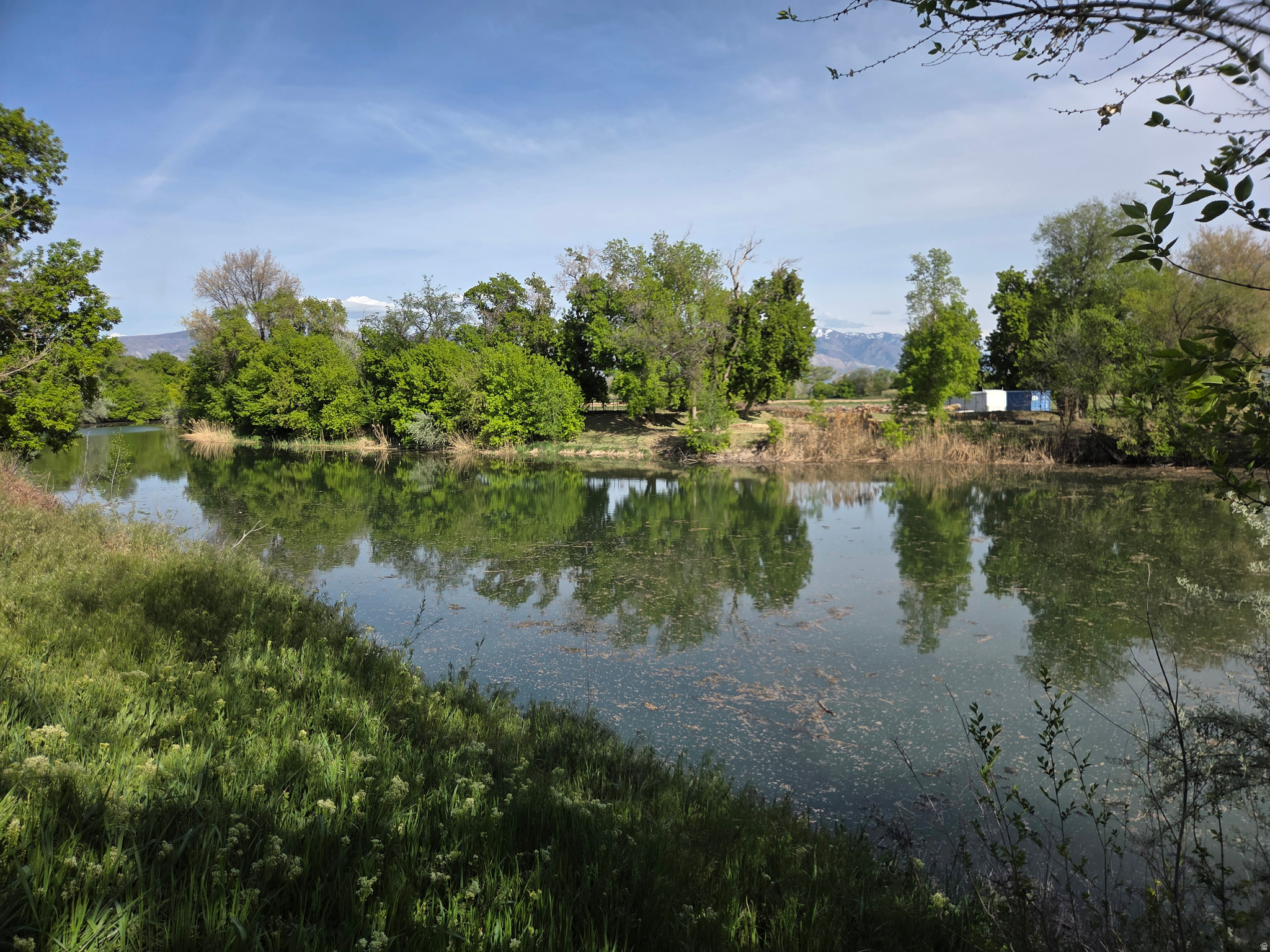 main property photo 16