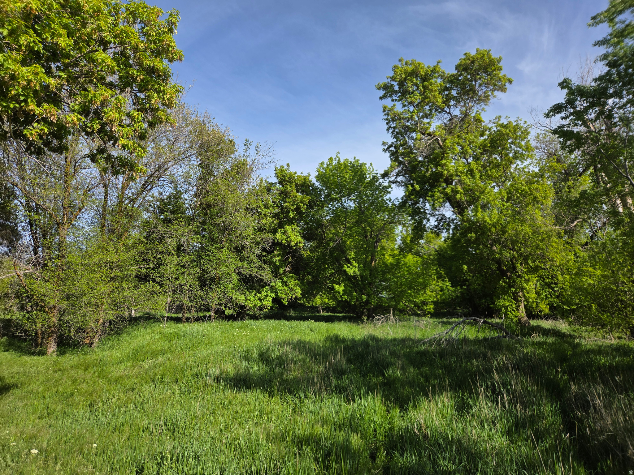 main property photo 50