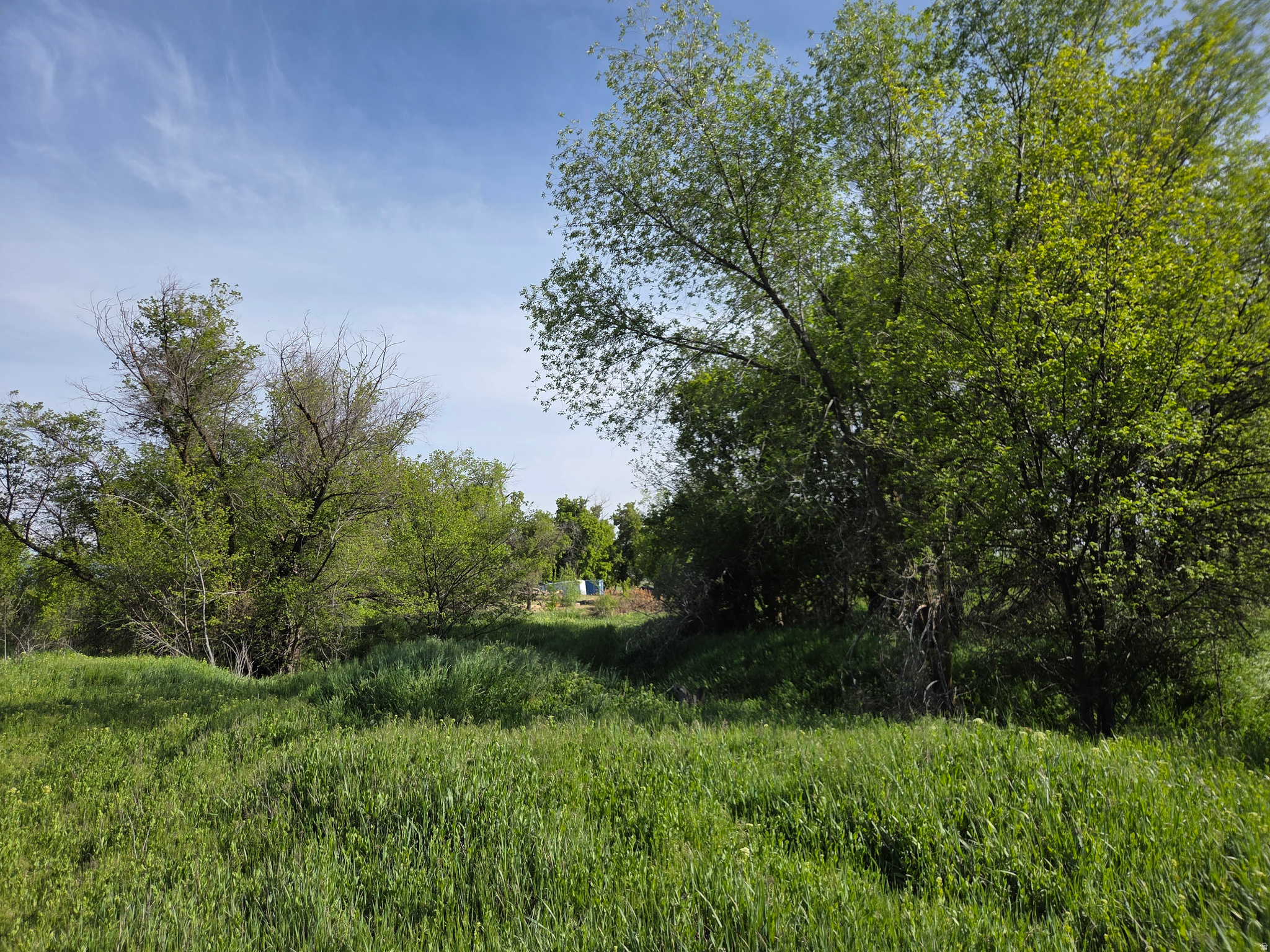 main property photo 55