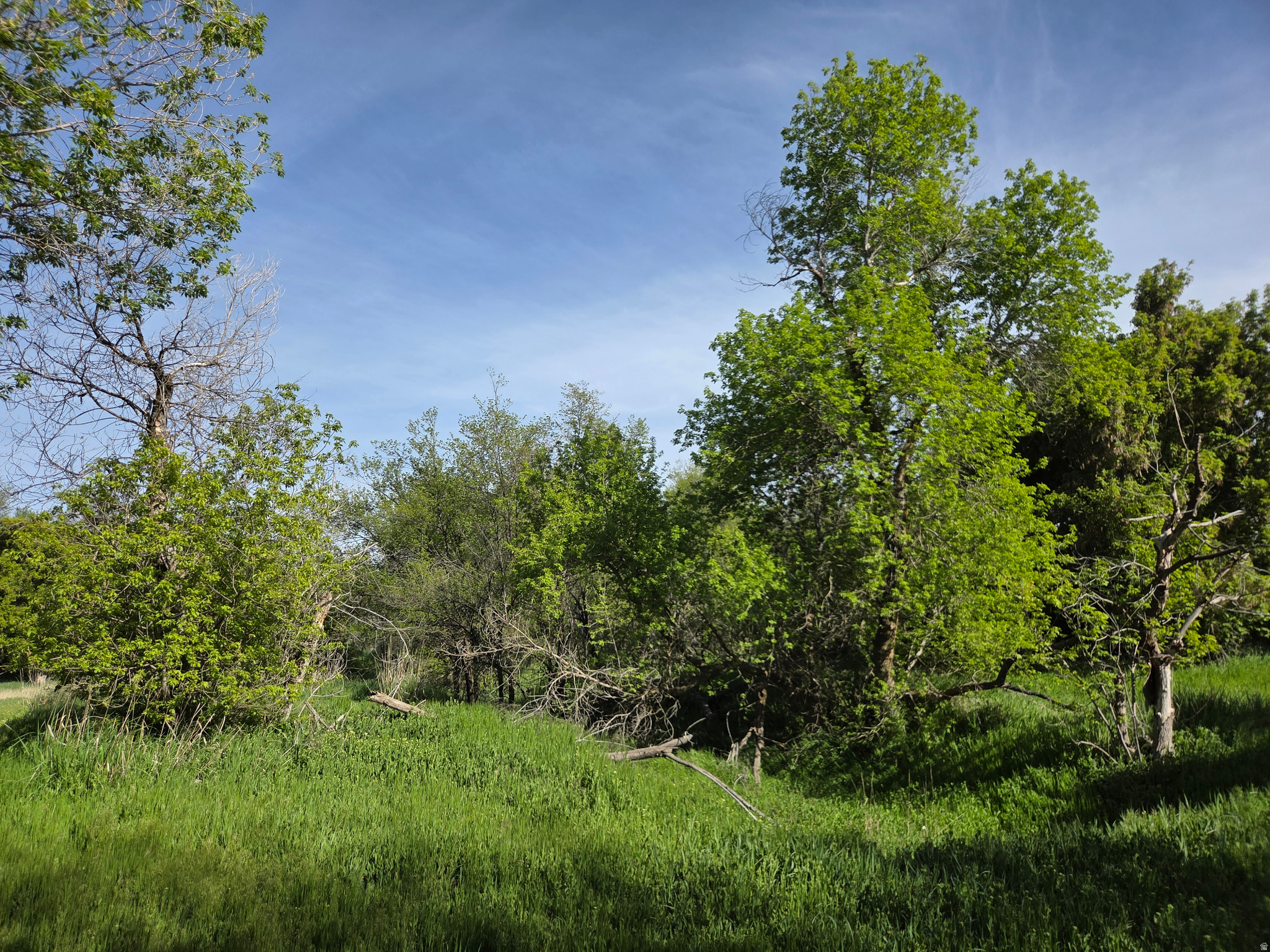 main property photo 57