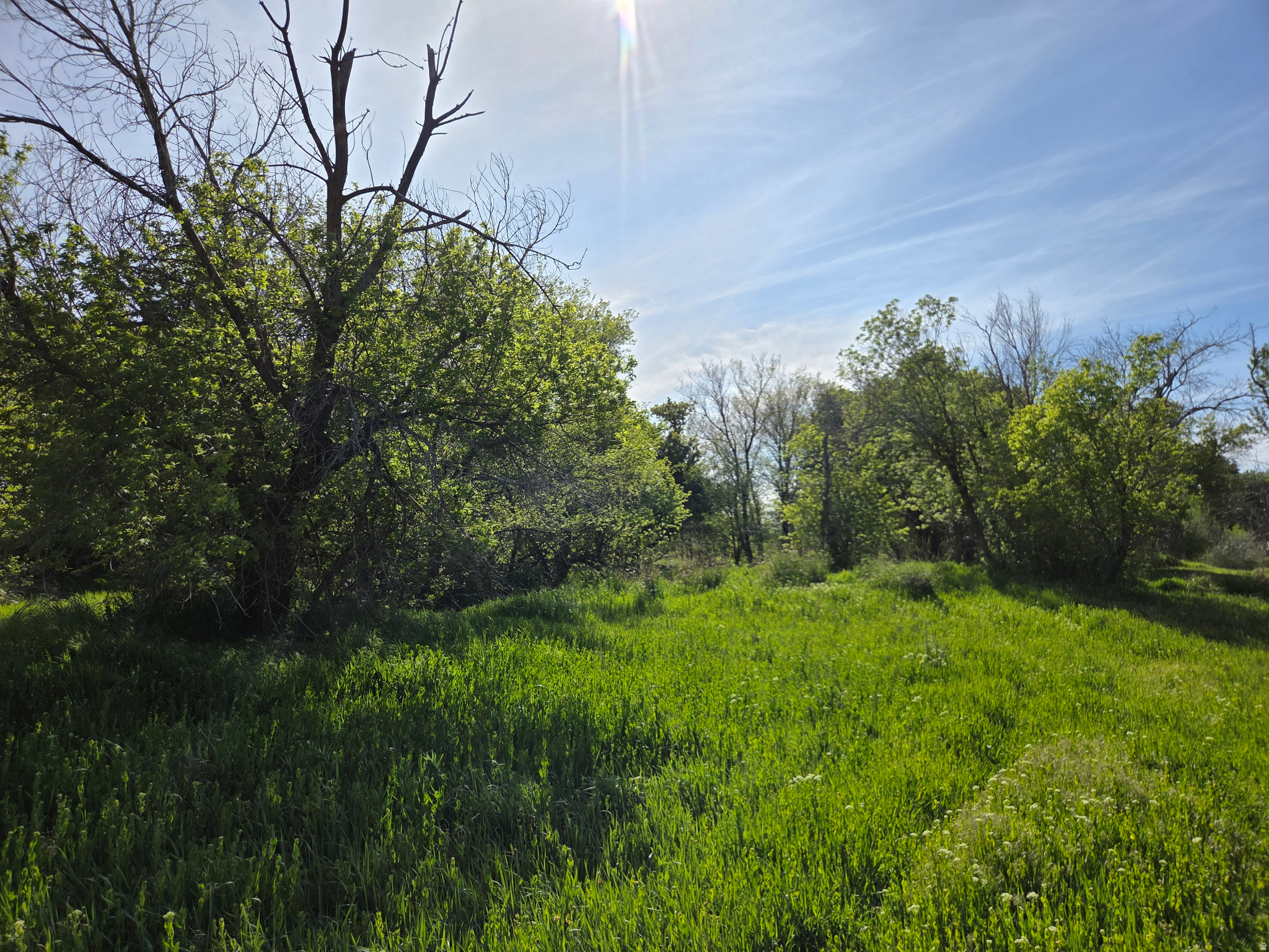 main property photo 59