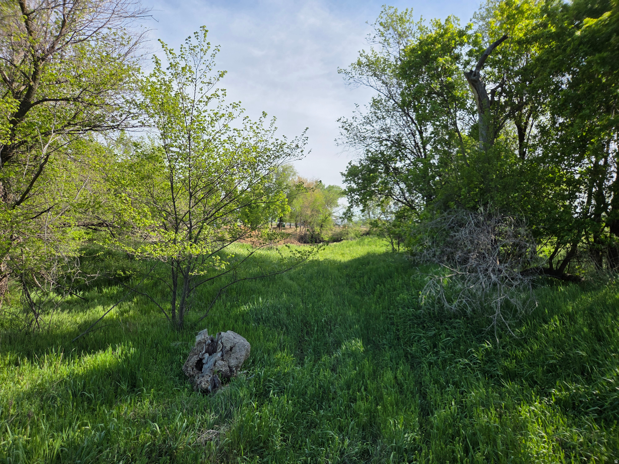 main property photo 60