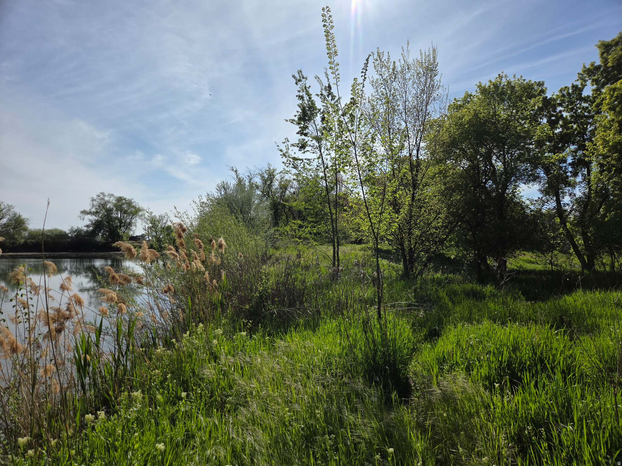 main property photo 62