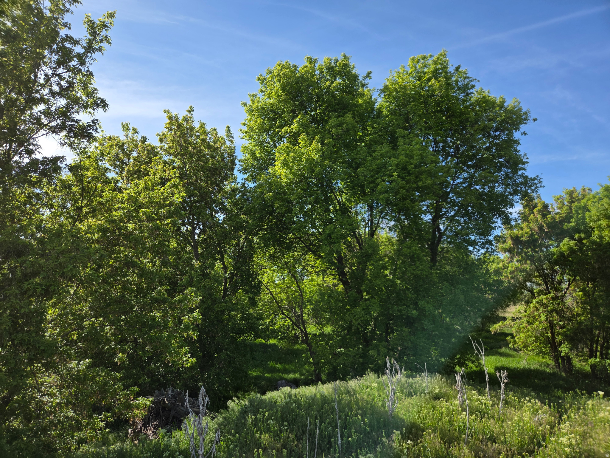 main property photo 65