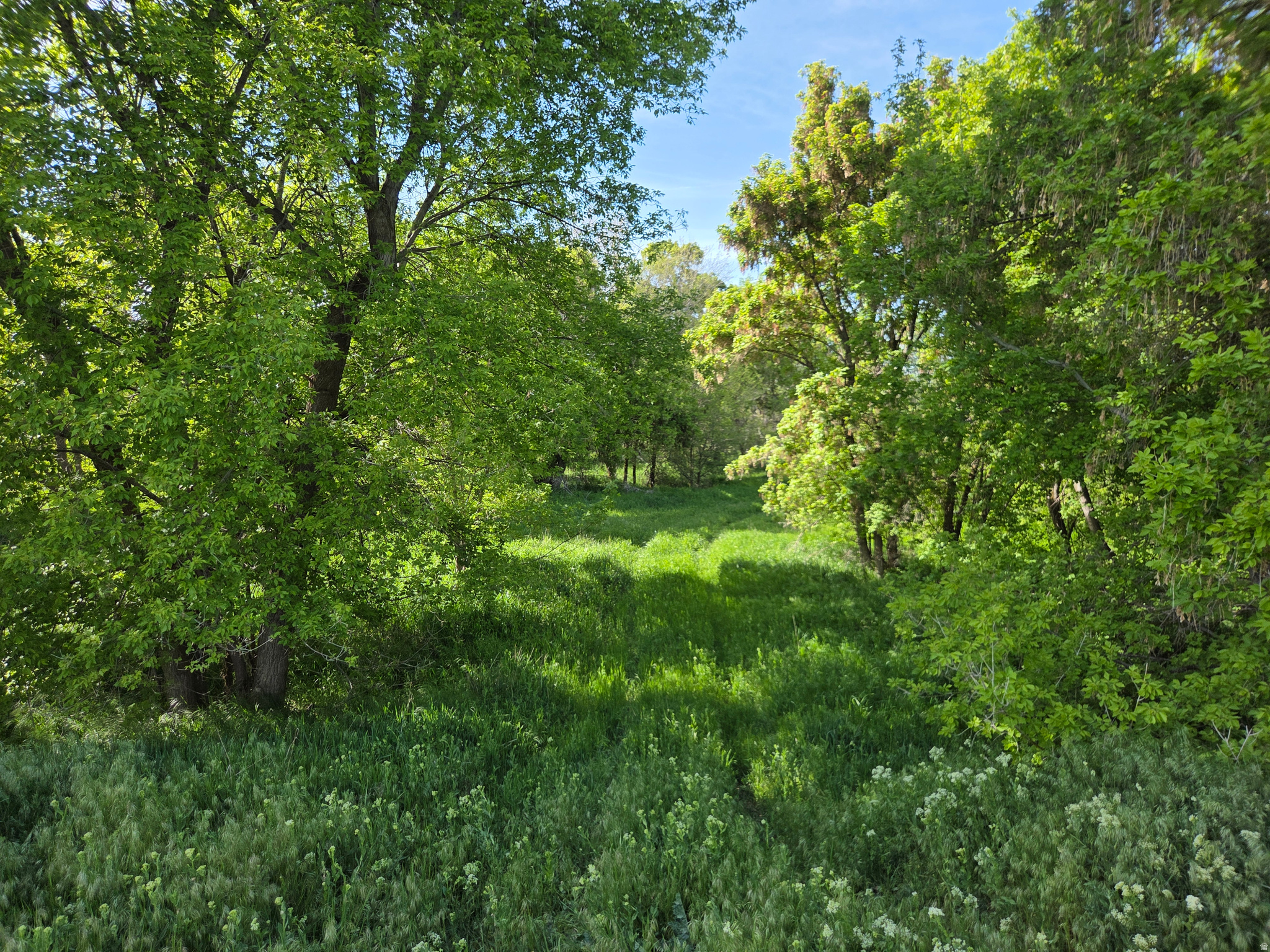 main property photo 71