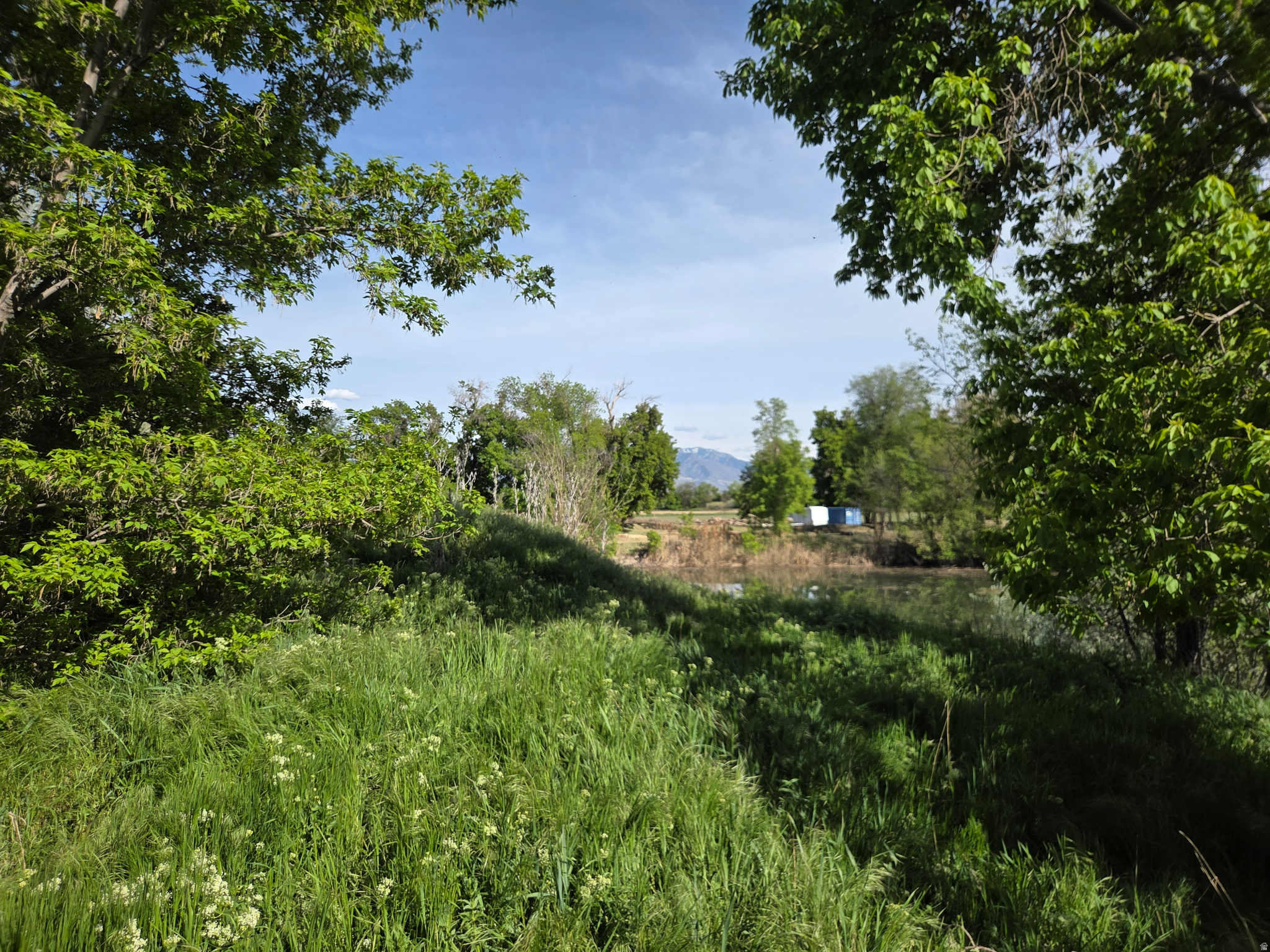 main property photo 72