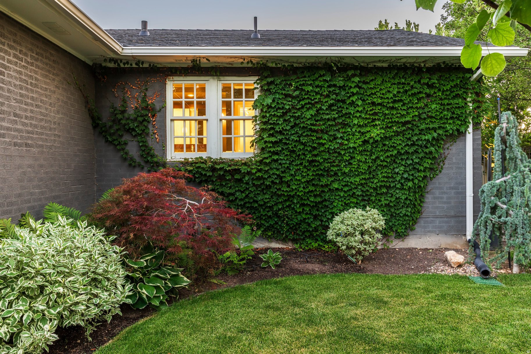 main property photo 55