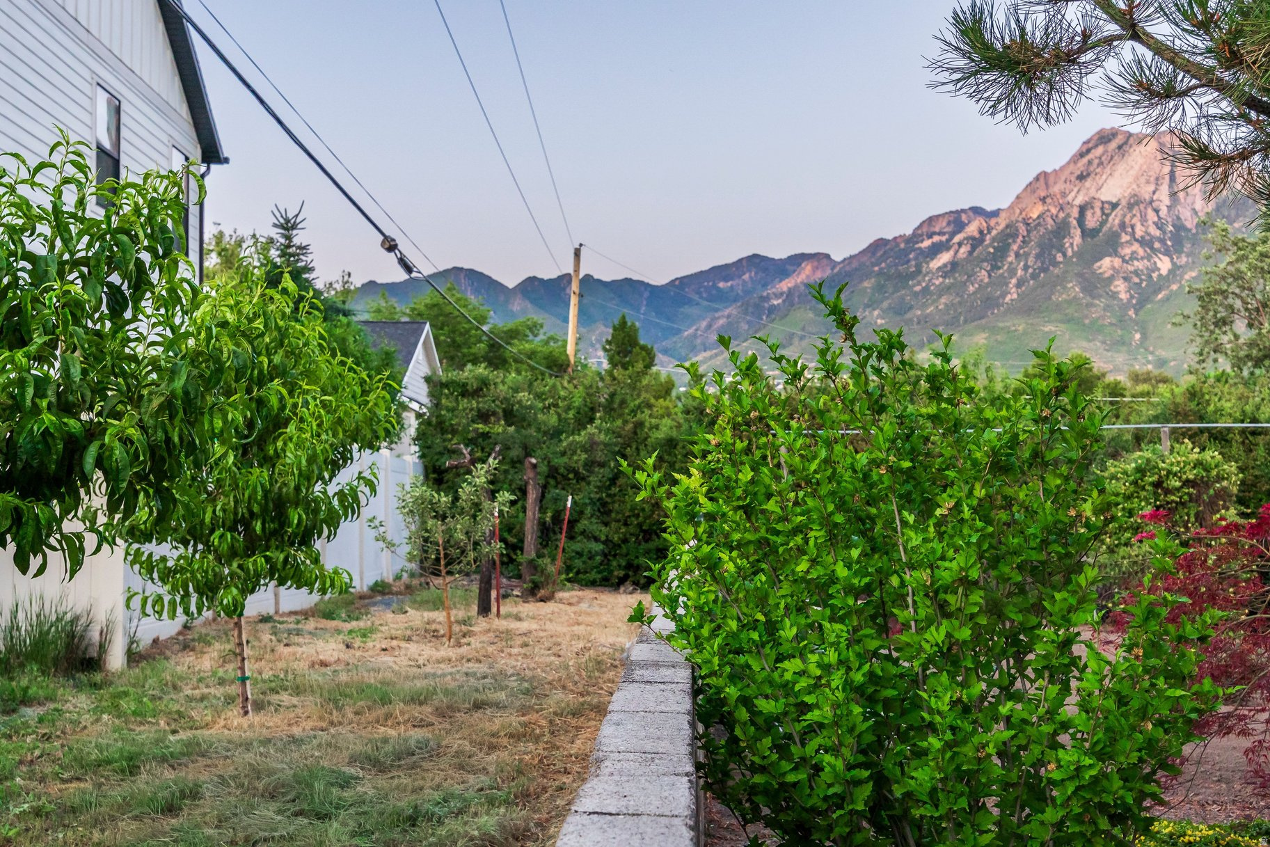 main property photo 61