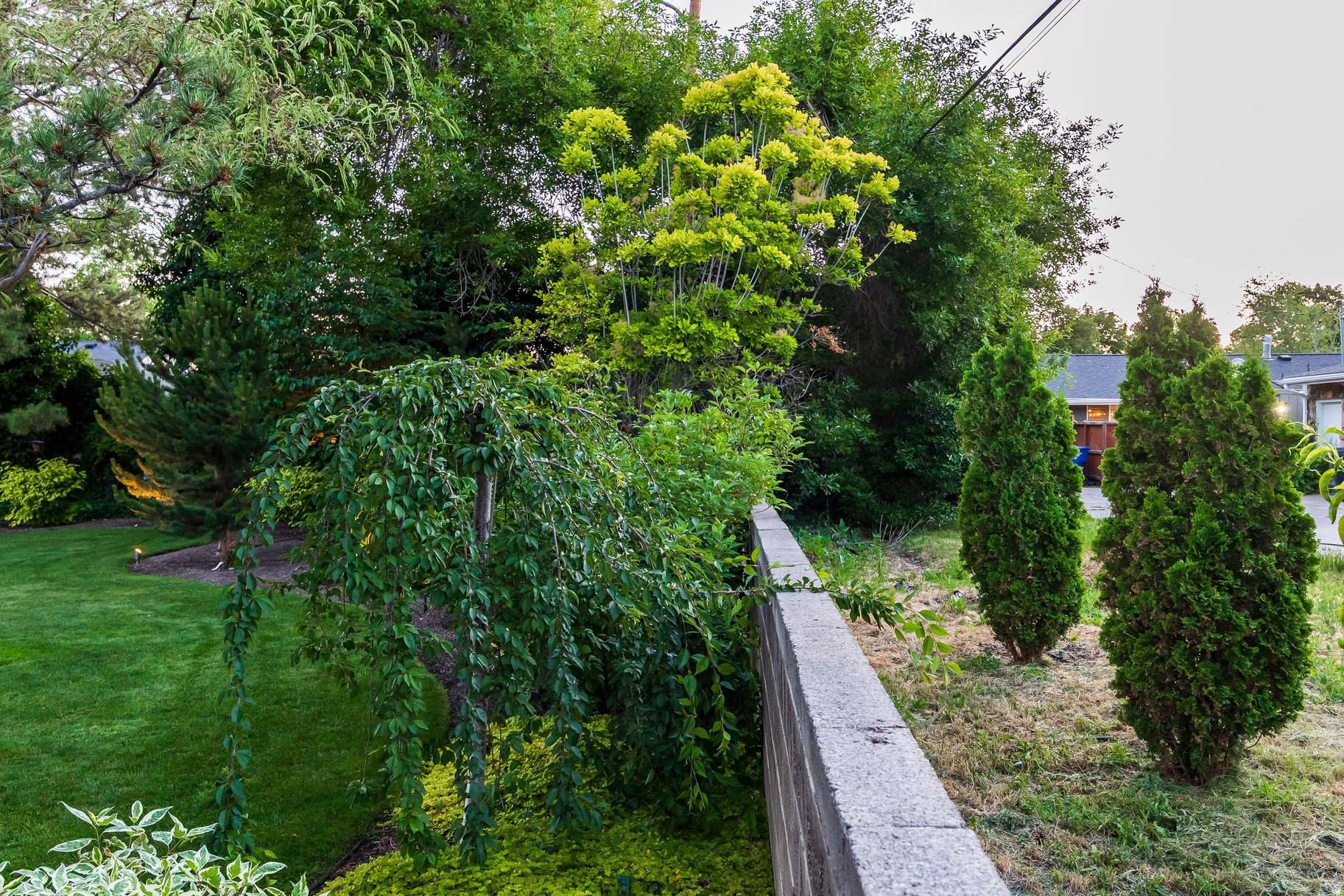 main property photo 62