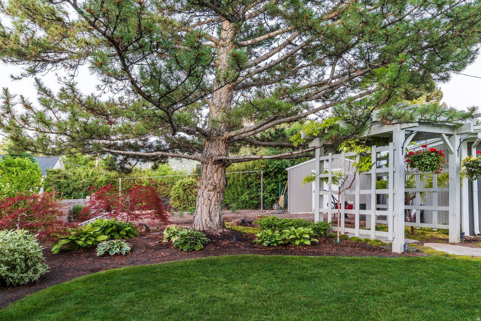 main property photo 63