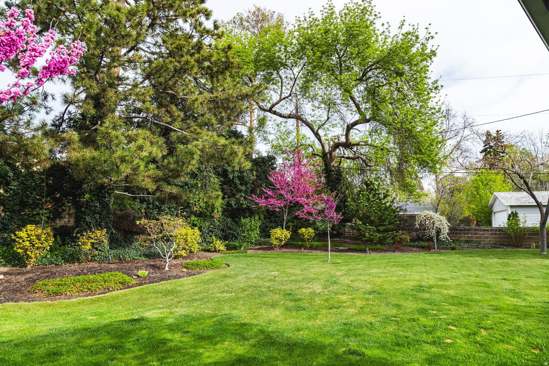 main property photo 88