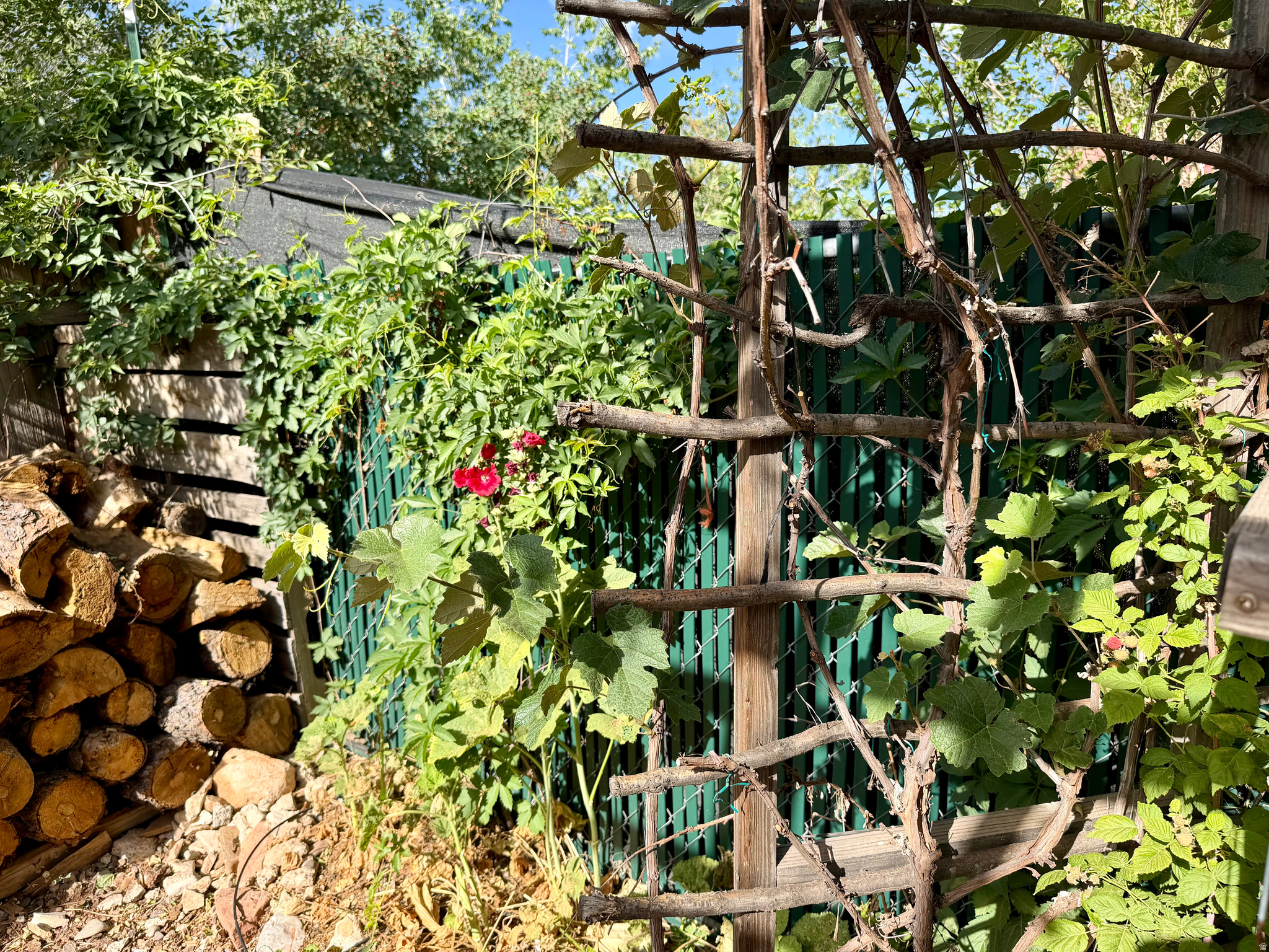 main property photo 13
