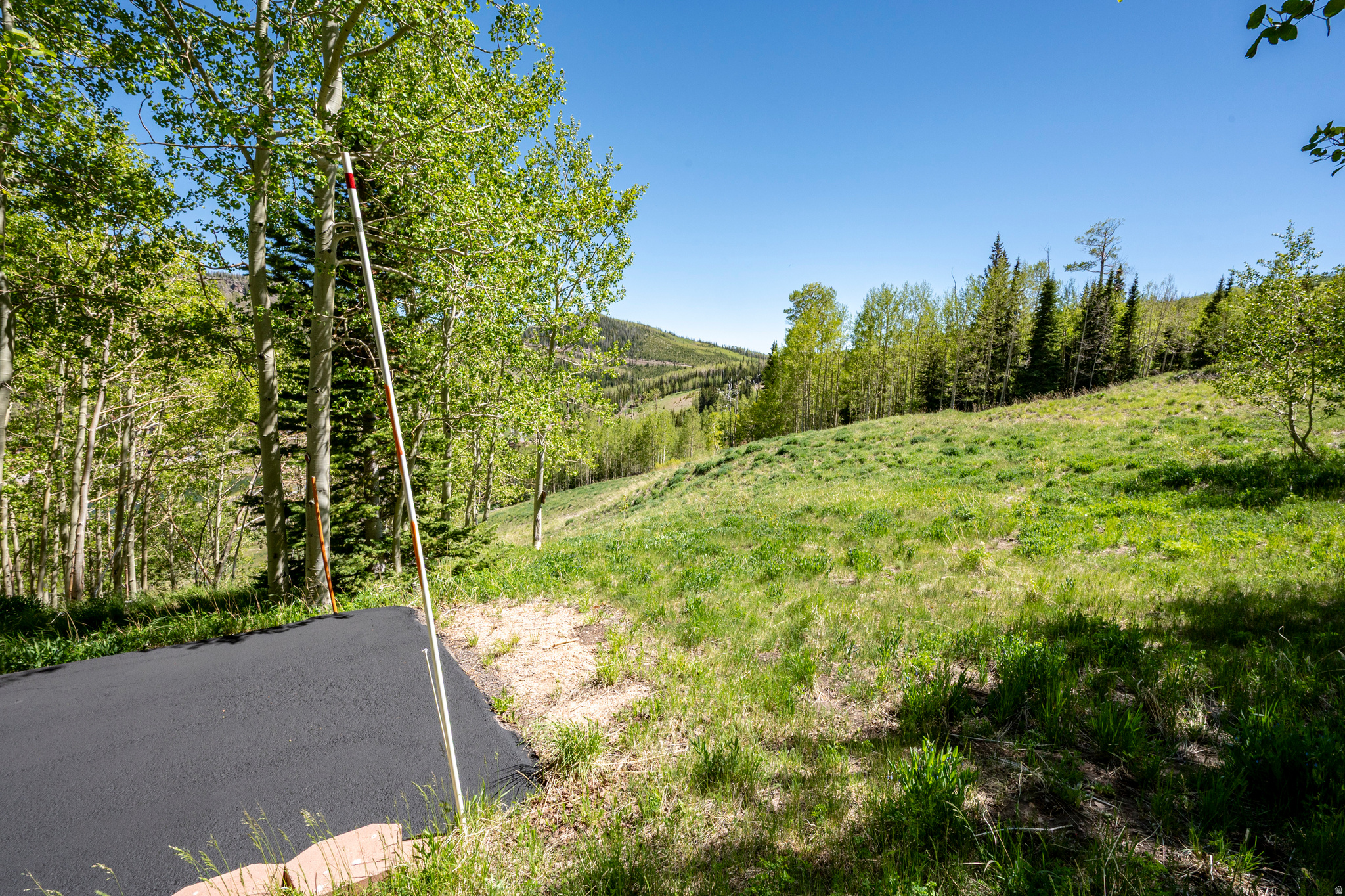 main property photo 65