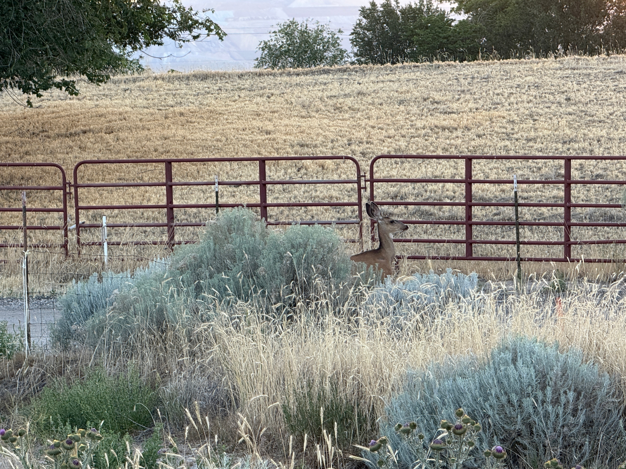 main property photo 40