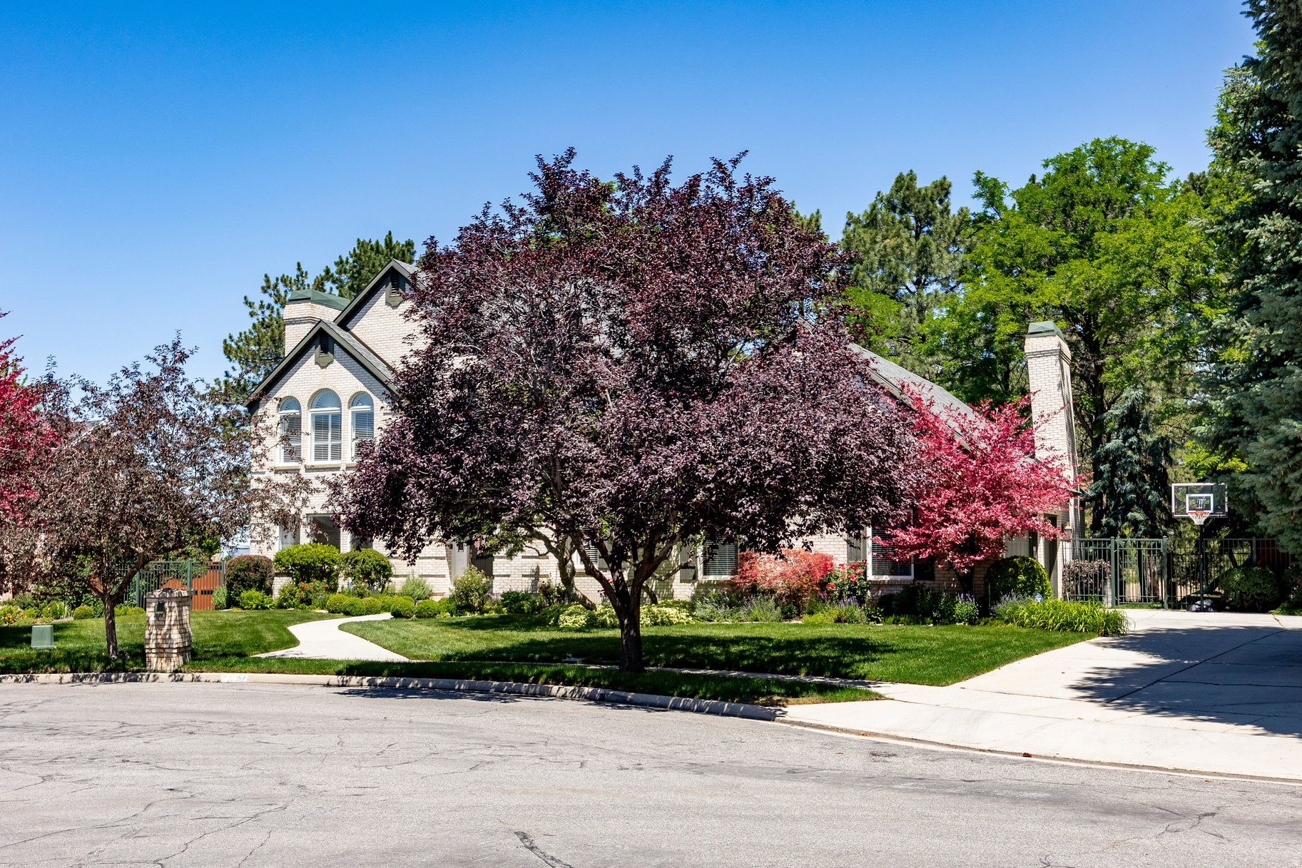main property photo 54